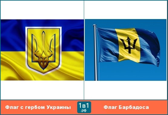 Флаг И Герб Украины Фото